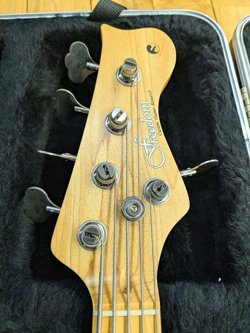 ベース FREEDOM CUSTOM GUITAR RESEARCH Anthra5st