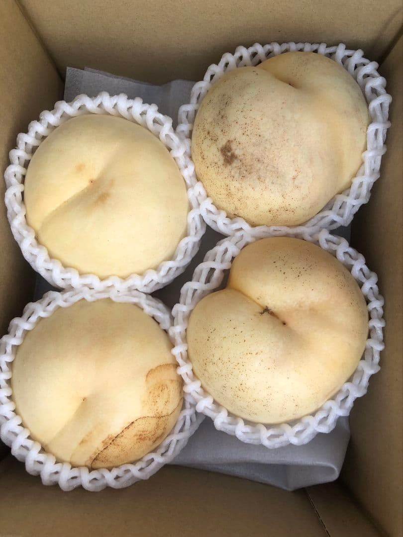 825福島產希少品種シーエクス硬桃箱込み10kg訳あり家庭用玉数お任せクール便