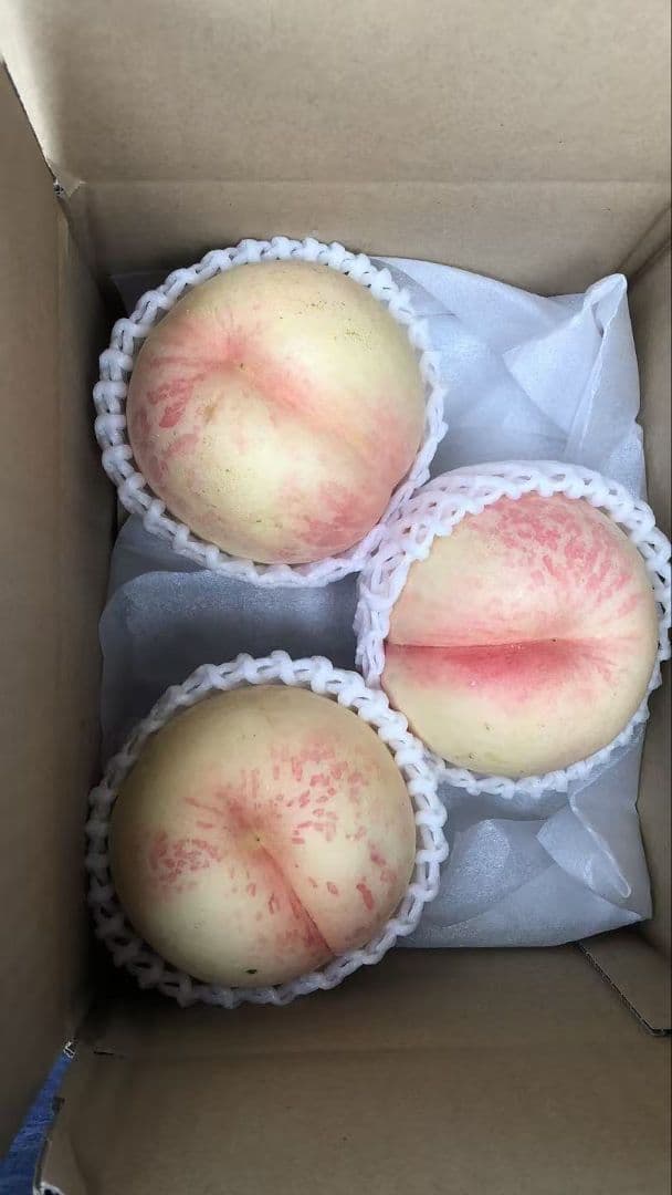 825福島產希少品種シーエクス硬桃箱込み10kg訳あり家庭用玉数お任せクール便