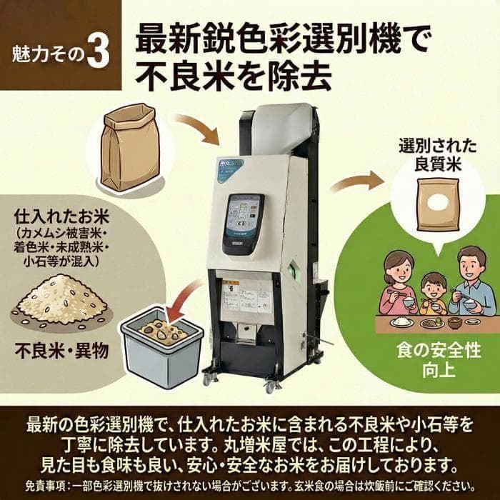 米屋直送 令和7年産 しっかり粒感オリジナルブレンド 白米 10kg 未検査米