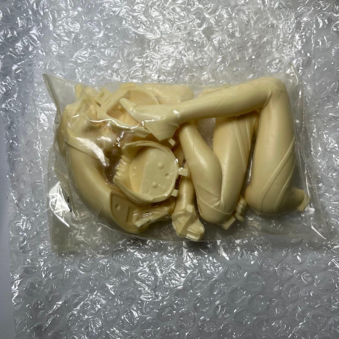 未使用品　新世紀エヴァンゲリオン 綾波レイ ガレージキット 和風堂 玩具店