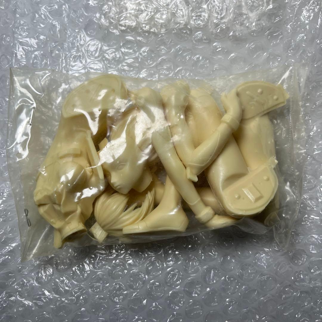 未使用品　新世紀エヴァンゲリオン 綾波レイ ガレージキット 和風堂 玩具店