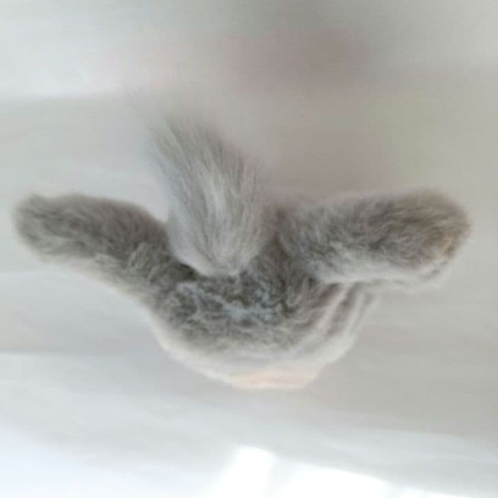 【稼働品】ファービー2 クラウディピーチ グリーン目 ドイツ語 2005