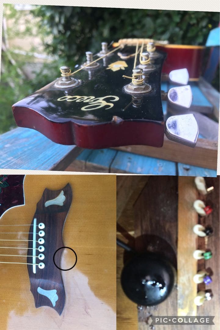 greco 303 DOVE グレコ フジゲン