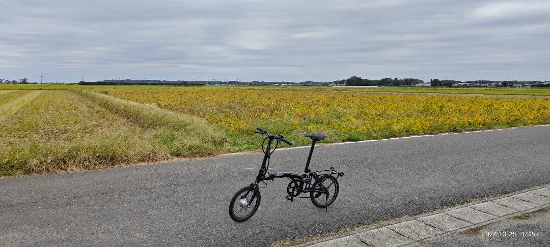 電動アシスト自転車+α Harry Quinn ebike カスタムVER.
