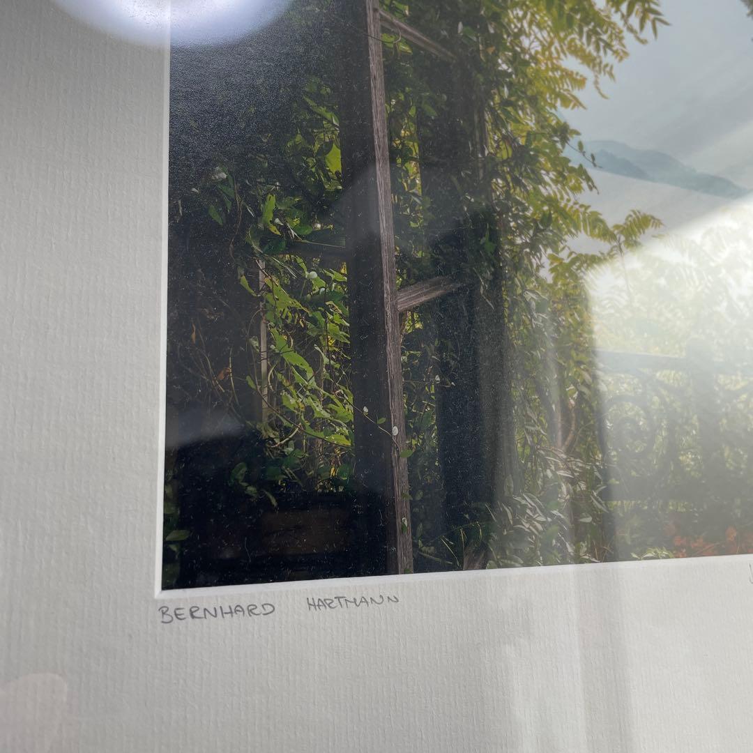 エーイーイエローコーナーフォトアート　海外の庭　額縁付