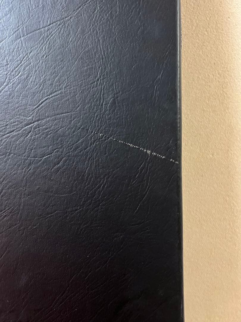 エピフォン YungBlud SG Junior Classic White