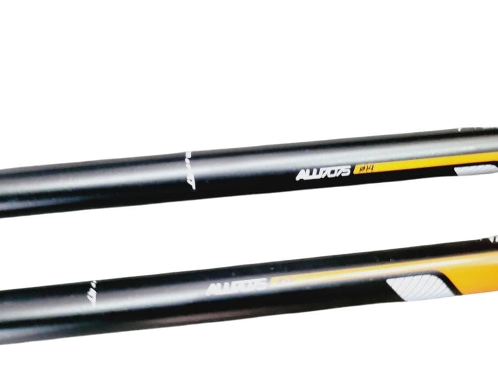 アルマダ アルデンテ スキー板 スキー フリーライド スキー用具 ストック