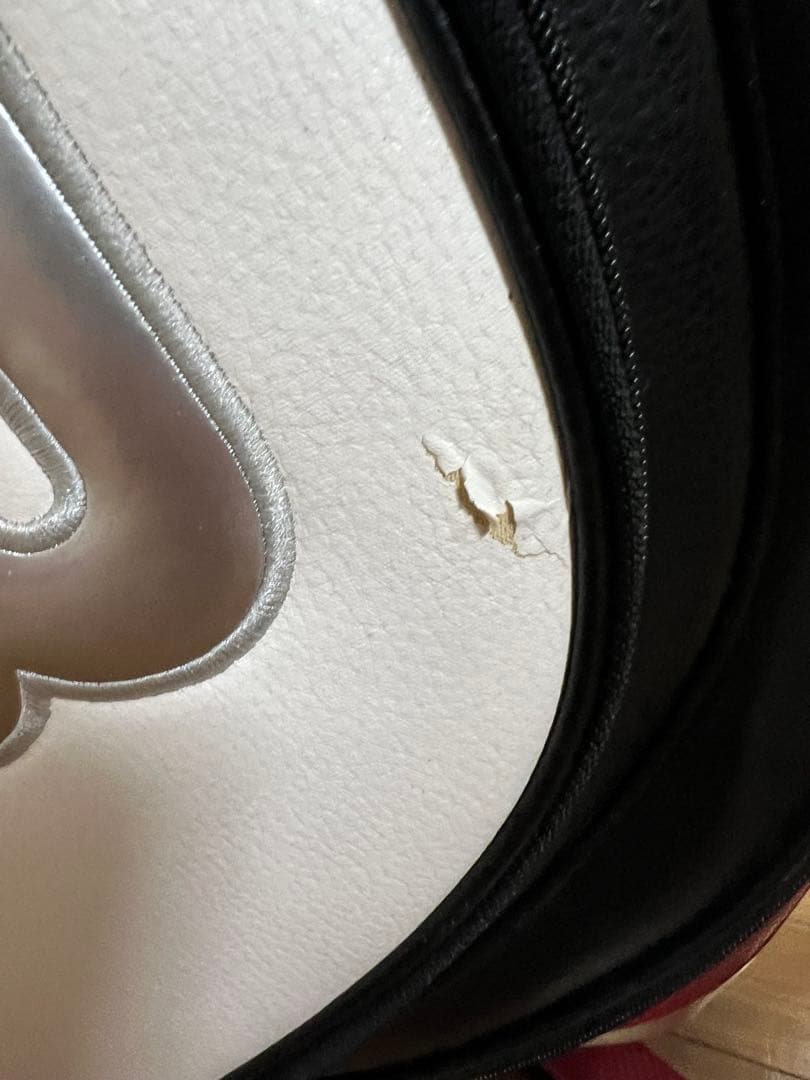 PRGR プロギア キャディバッグ　4分割　ゴルフ　 ゴルフバッグ