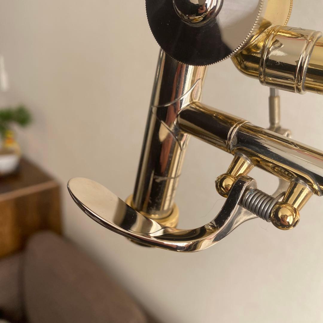 ⭐️値下げ⭐️BACH 42BO GL テナーバストロンボーン