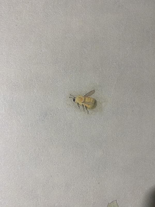 【日本画】美術品｜杉本使聖｜出雲大神宮｜子宝恵｜運気良