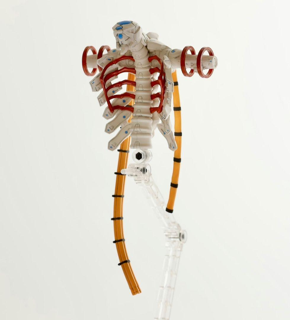 グリズリーパンダ　エヴァンゲリオン レイ アスカ セット　ガレージキット