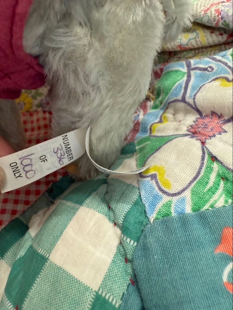 マジュランメリーソート社　アンセスターオブチーキー