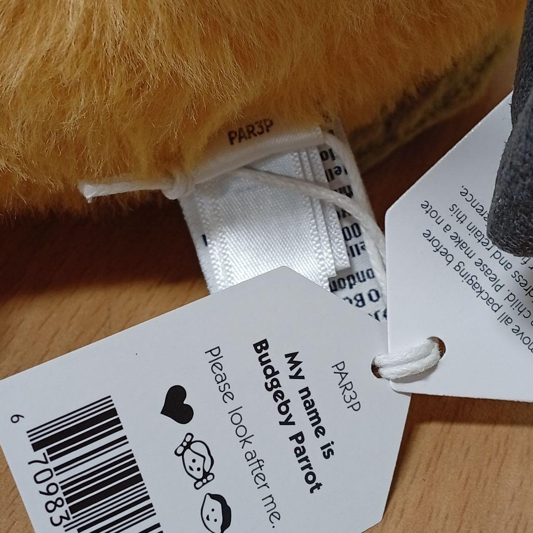 ジェリーキャット インコ 鸚哥  Budgeby Parrot