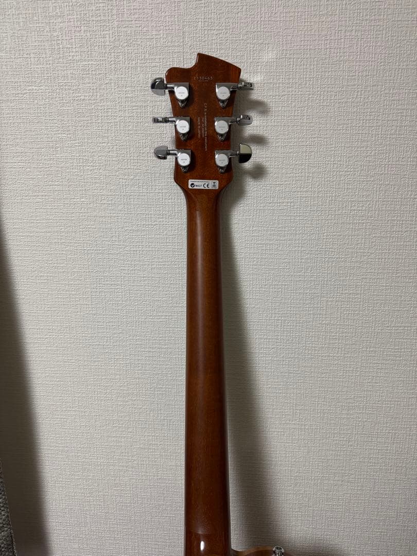 ギター FUJIGEN EFL-FM/VV