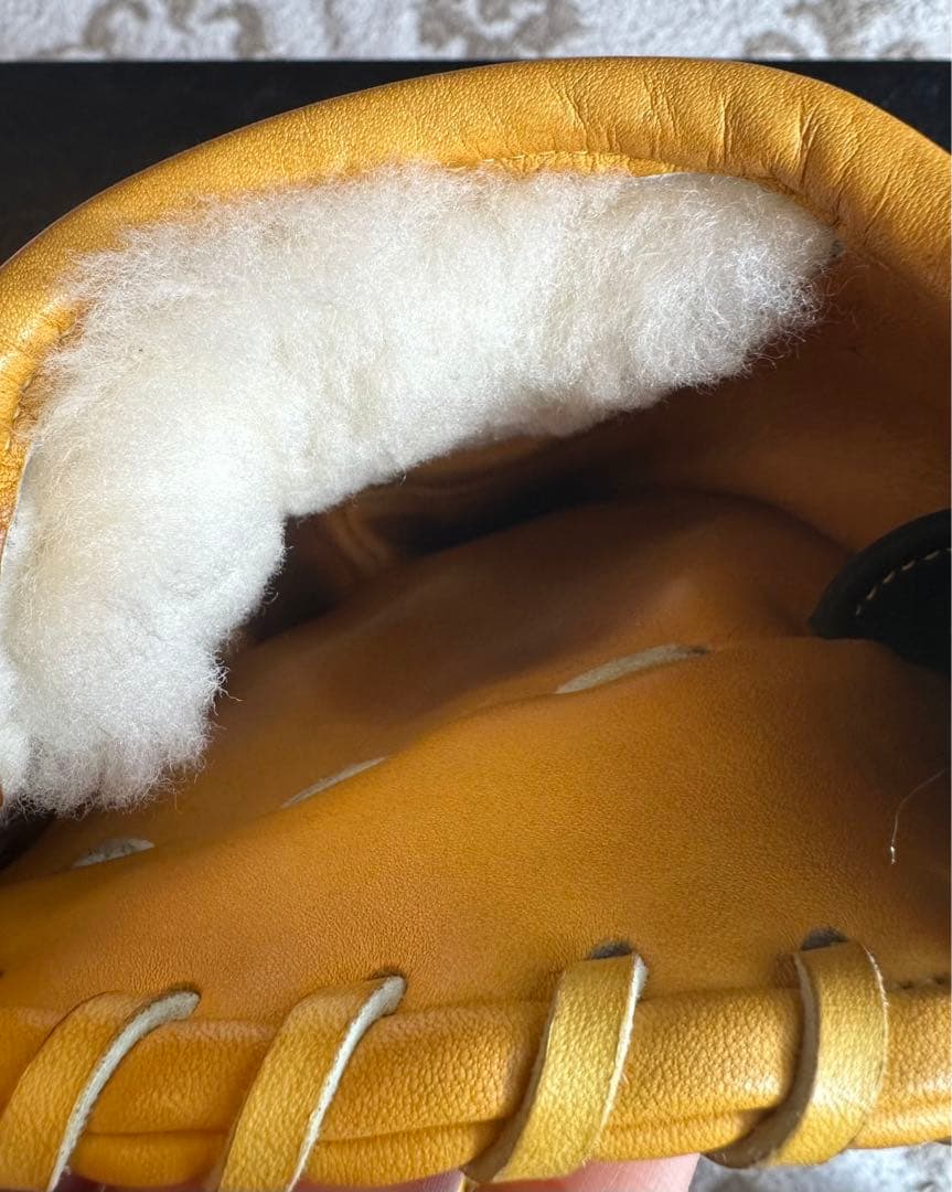 硬式 ミズノプロ 波賀 グローブ