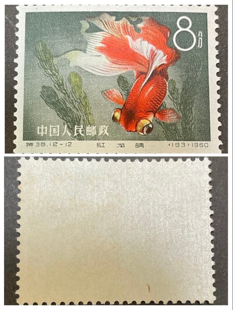 【未使用】中国切手　特38 金魚　12種完