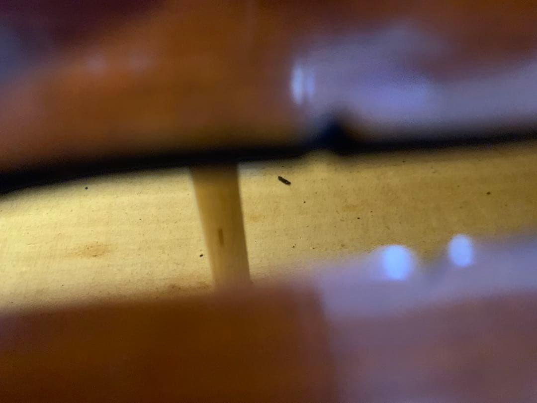 Gliga Gem1 ルーマニア製　4/4 フルサイズ　バイオリン