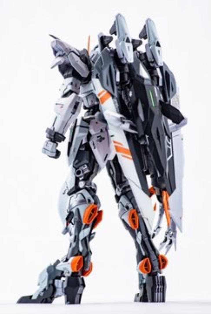 テスタメントガンダム MG らいなーマン様作