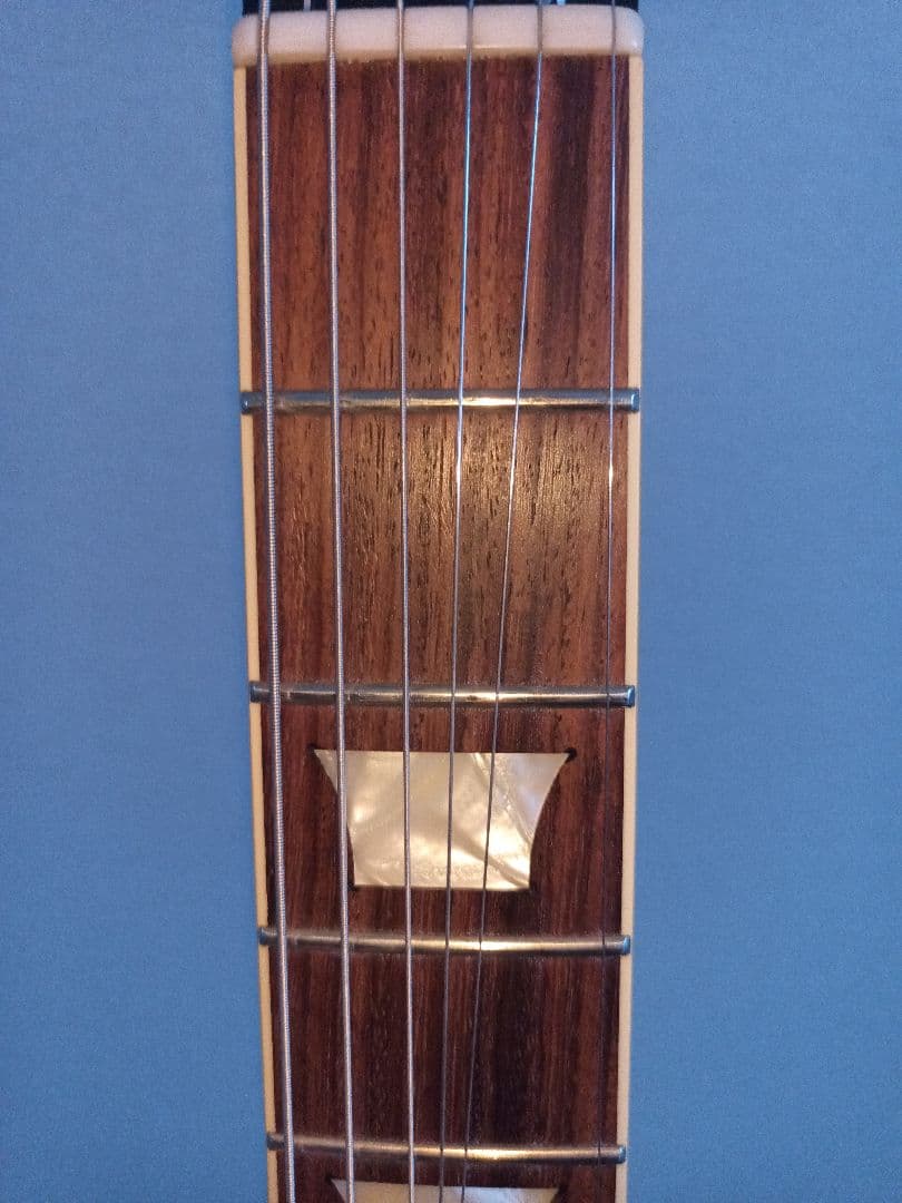 Tokai LoveRock　改　日本製　型式不明