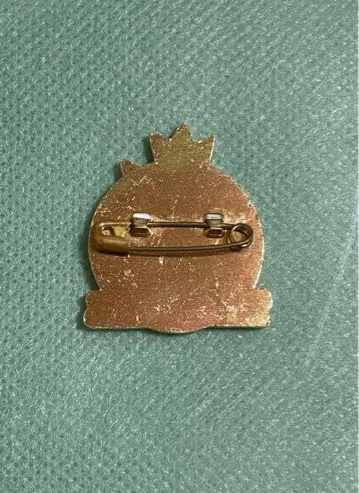 タマムシ大学 バッジ