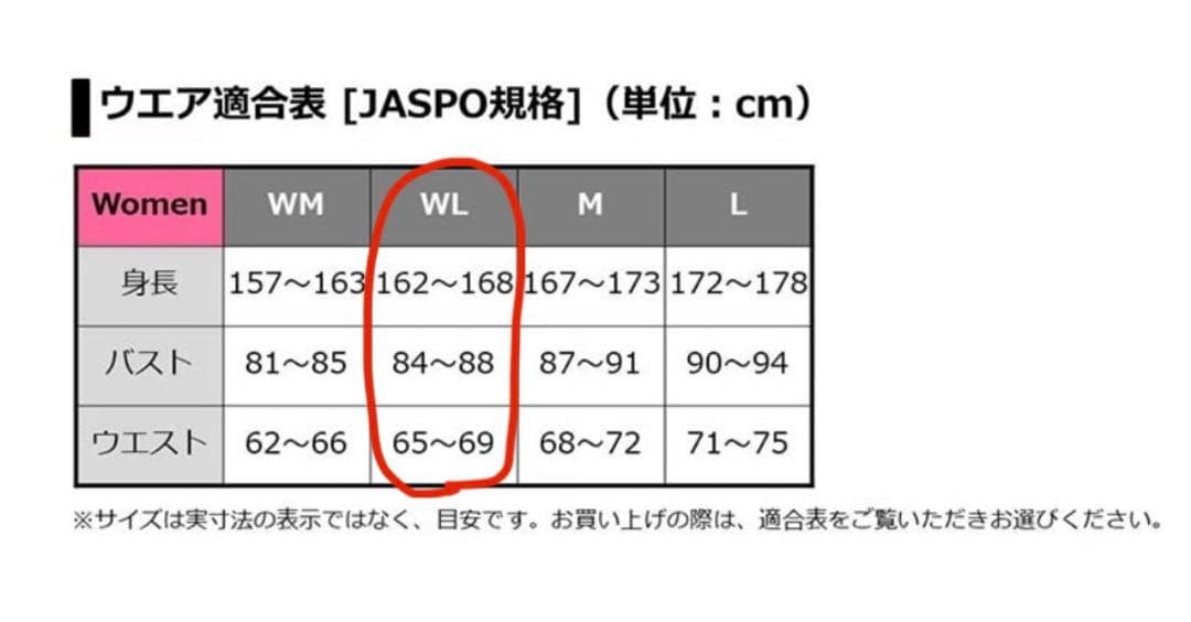 ダイワ　DW-1922　ゴアテックス　プロダクトウィンタースーツ　WL