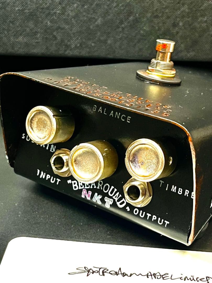 ギター DeliciousTaylormade BEEAROUND NKT