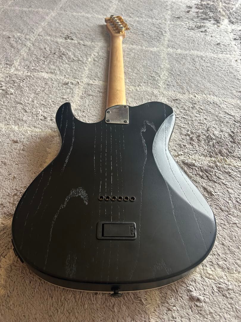 ギター FNG FUJIGEN JIL-ASH-DE664 EMG