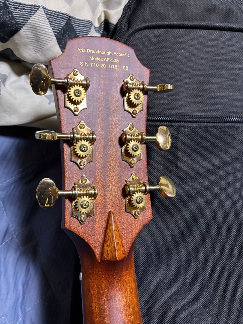 ARIA Dreadnought AF−505 オール単板！スノーフレーク