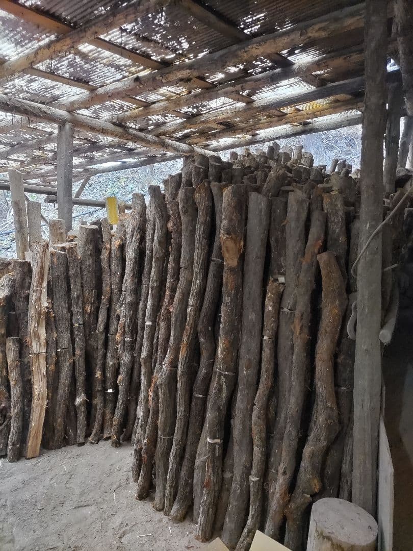 紀州備長炭11kg 七輪用