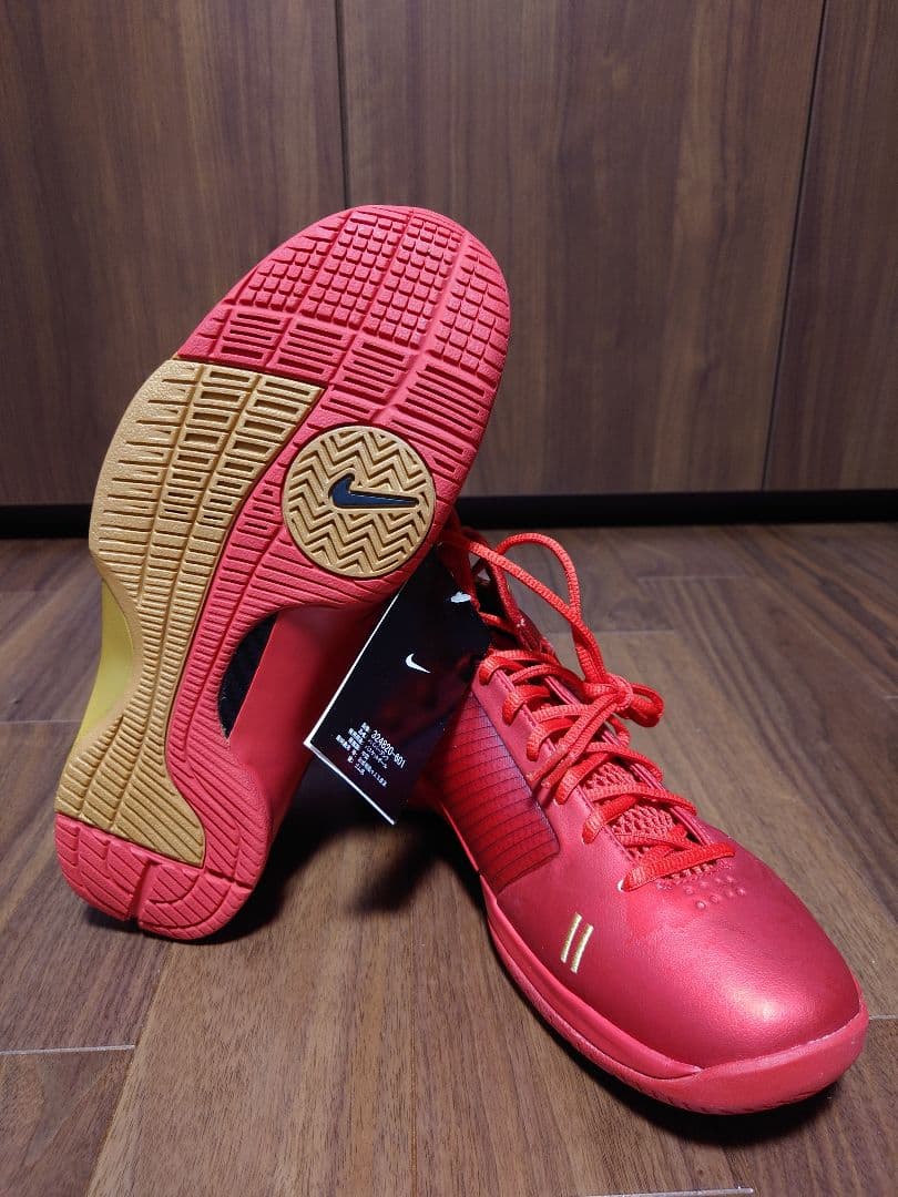 Nike ハイパーダンク 易建聯 モデル