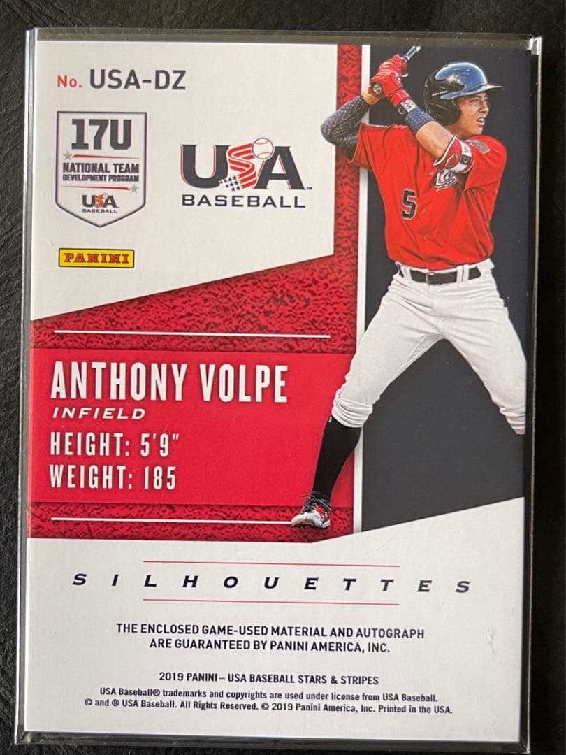 2019 Panini Anthony Volpe auto 直筆サイン　シリ