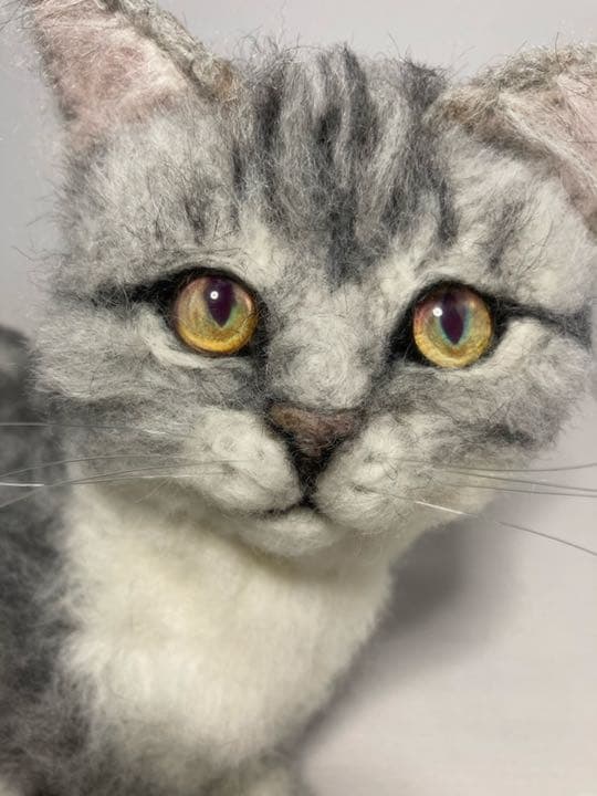 羊毛フェルト 猫 L L Lサイズ　オーダー　サンプルページ