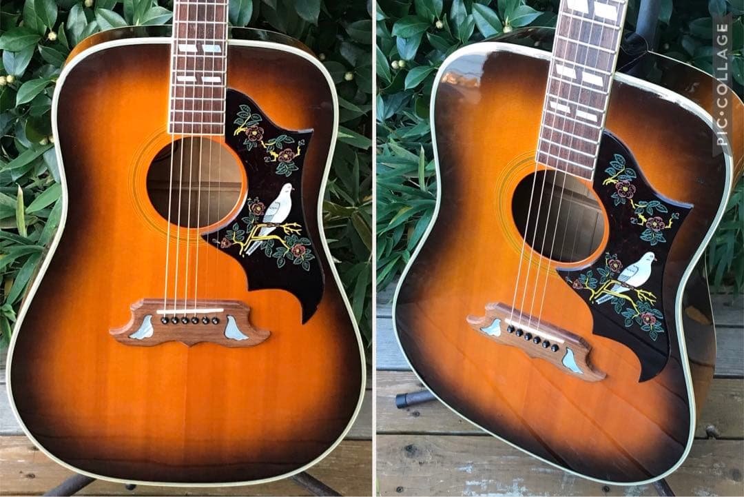 Orville by Gibson DOVE ギブソン