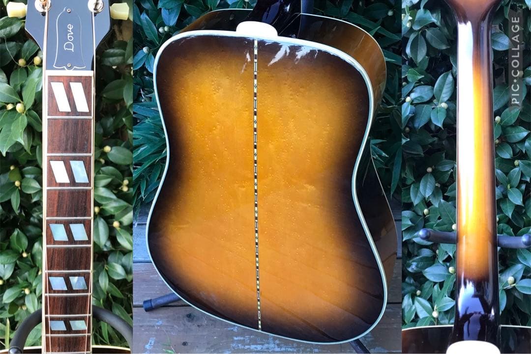 Orville by Gibson DOVE ギブソン