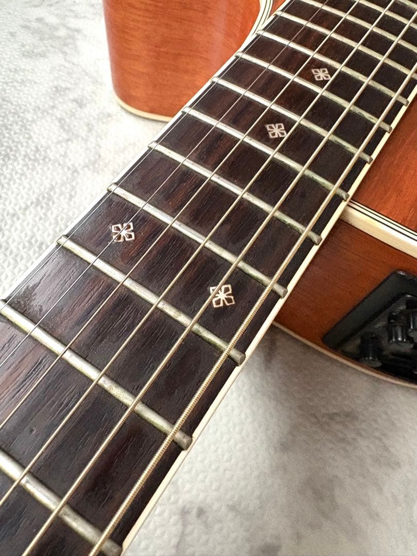 ハワイアンコア100本限定レアモデルTDP-100K-SP タカミネ⭐︎HC付き