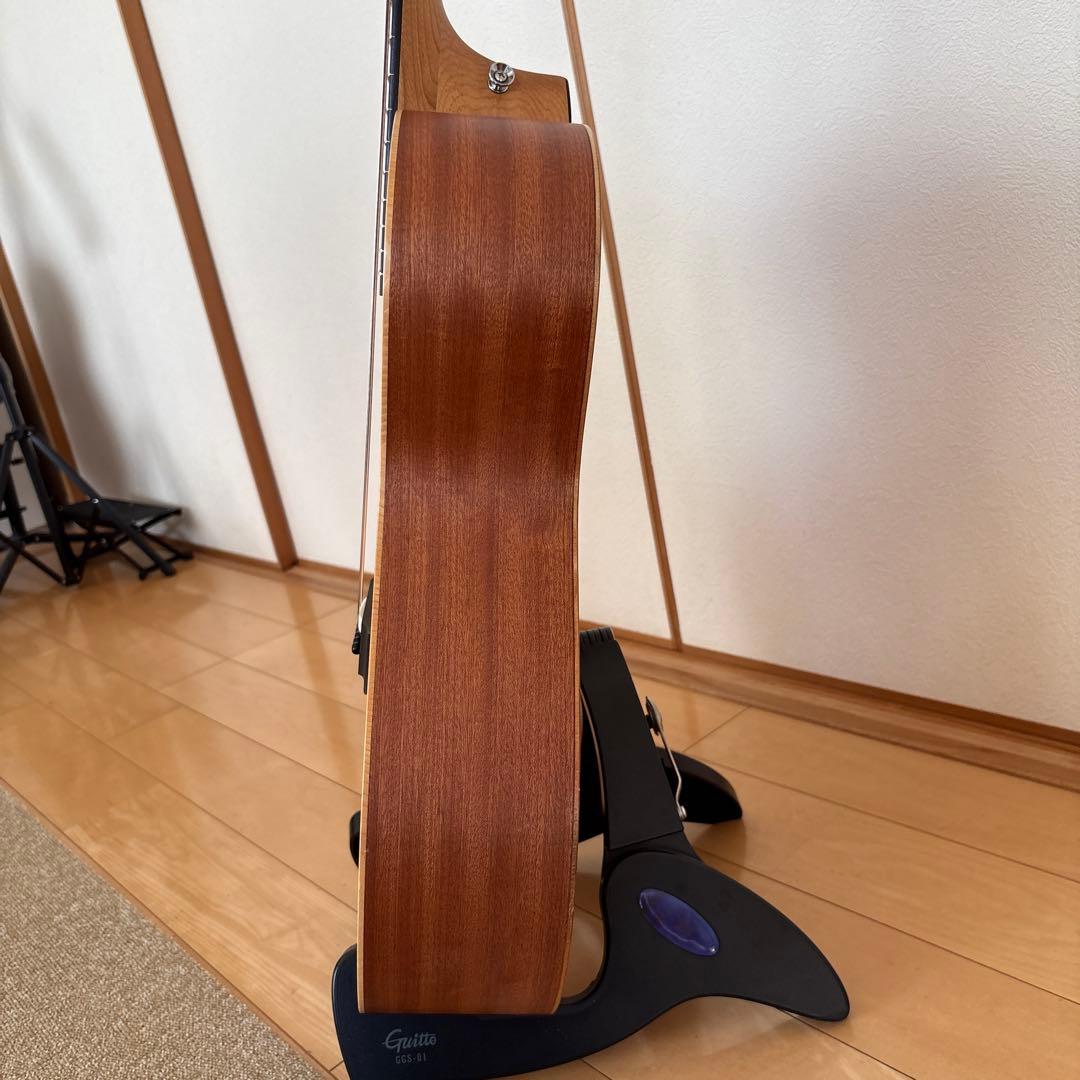 Taylor Academy 12e エレアコ