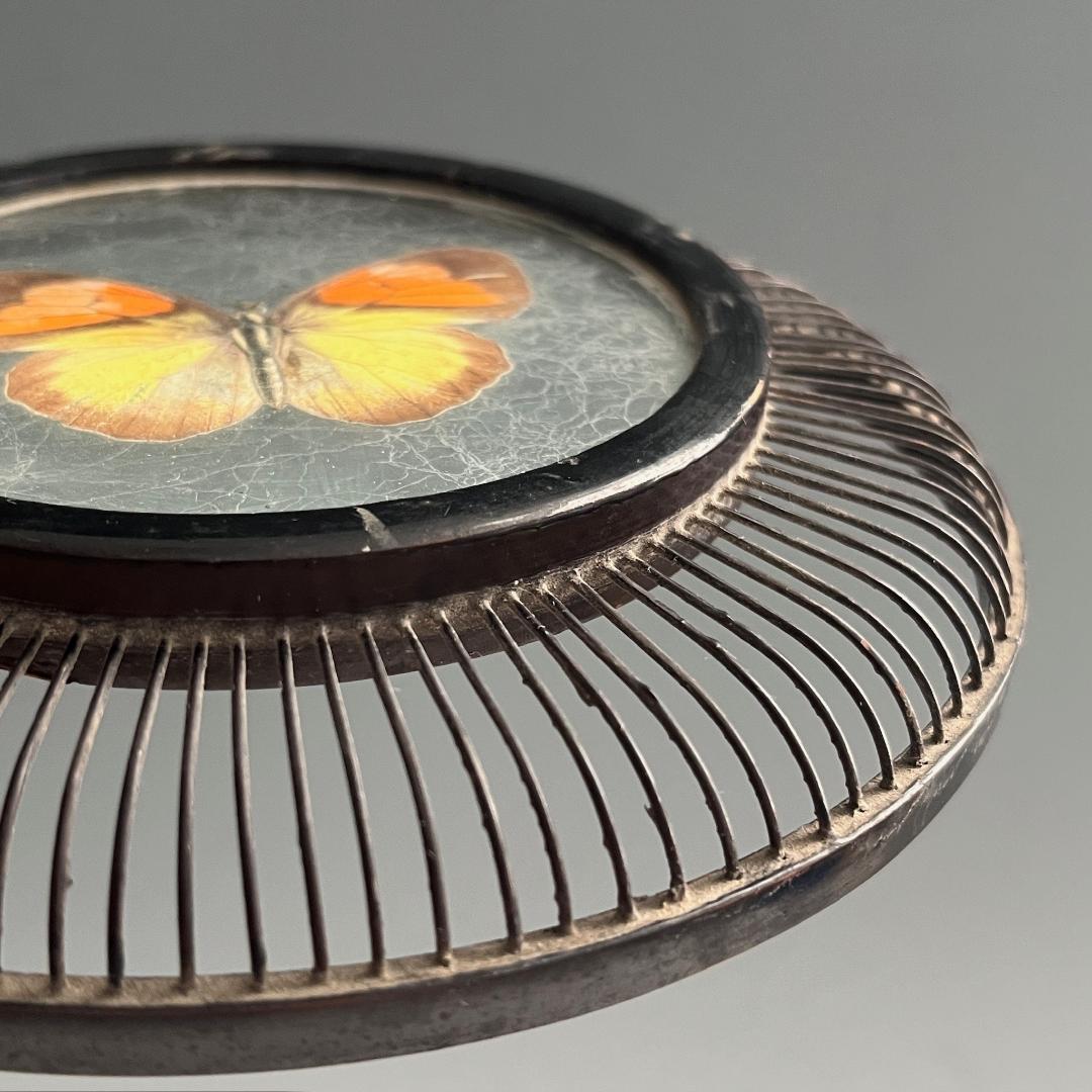 希少 蝶 駿河竹千筋細工 菓子器 明治時代 0.6㍉極小ひご竹細工家蒐集S62