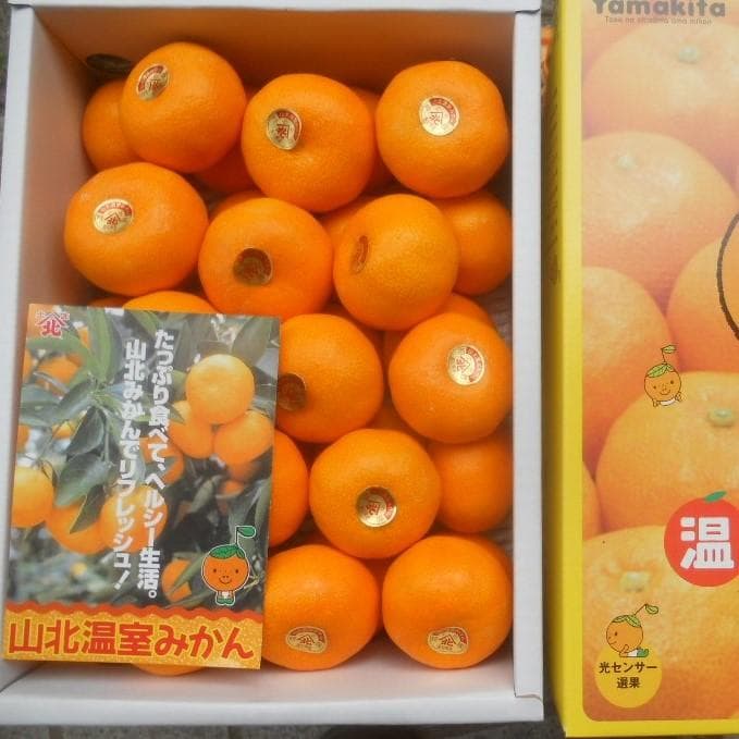 ☆kiki☆ 高知産温室山北みかん２，５ｋｇ　贈答用　＋４kg