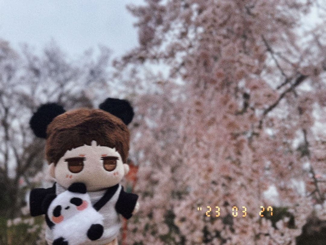 博君一肖ぬいぐるみbjyx