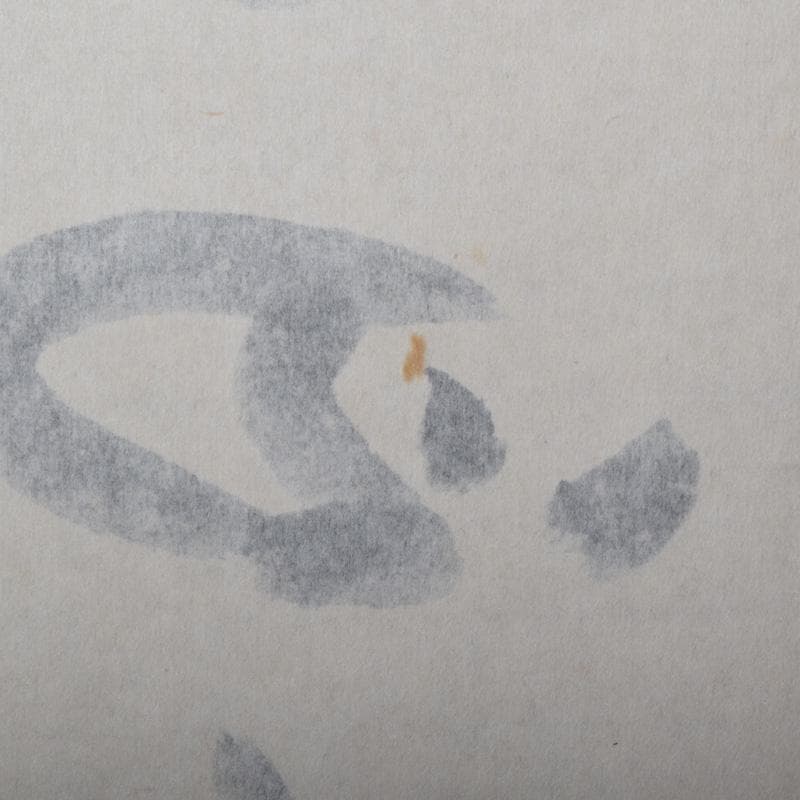 掛軸　前大徳　福本積應筆　一行書　「春水満四澤」　合わせ箱　C　8185A