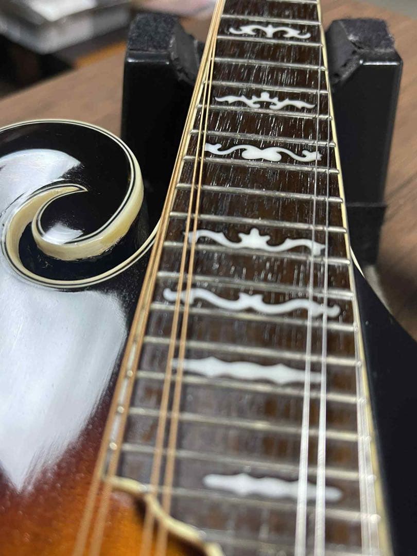 Rally ラリー エレクトリックフラットマンドリン&ハードケース