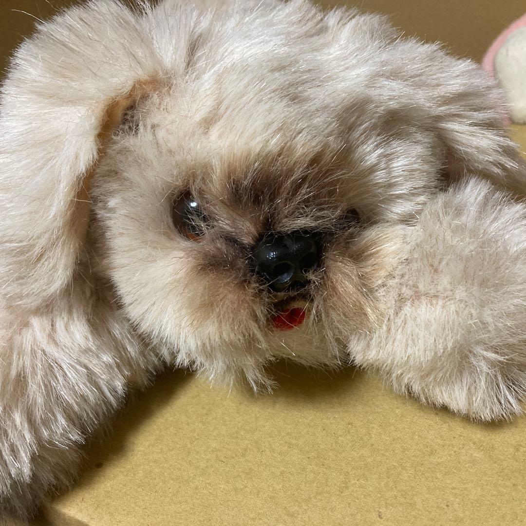 リアルな犬のぬいぐるみ　創美社