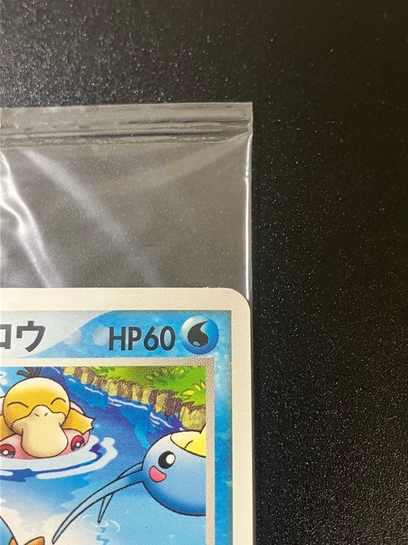 ポケモンカード ポケパークのミズゴロウ 未開封 限定 プロモ
