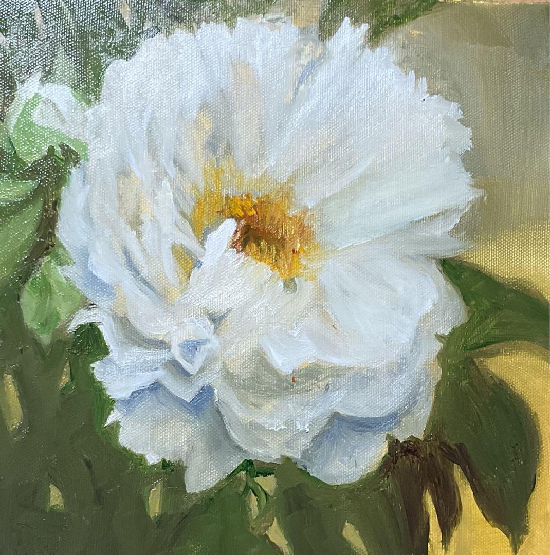 油彩画　「　牡丹　貴婦人　」　額付　原画