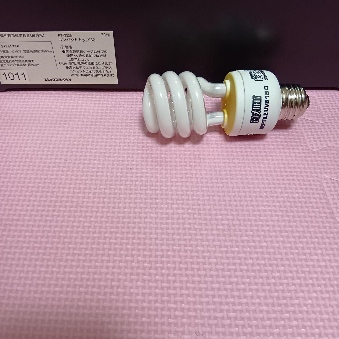 エキゾテラ　グラステラリウム3045　GEX