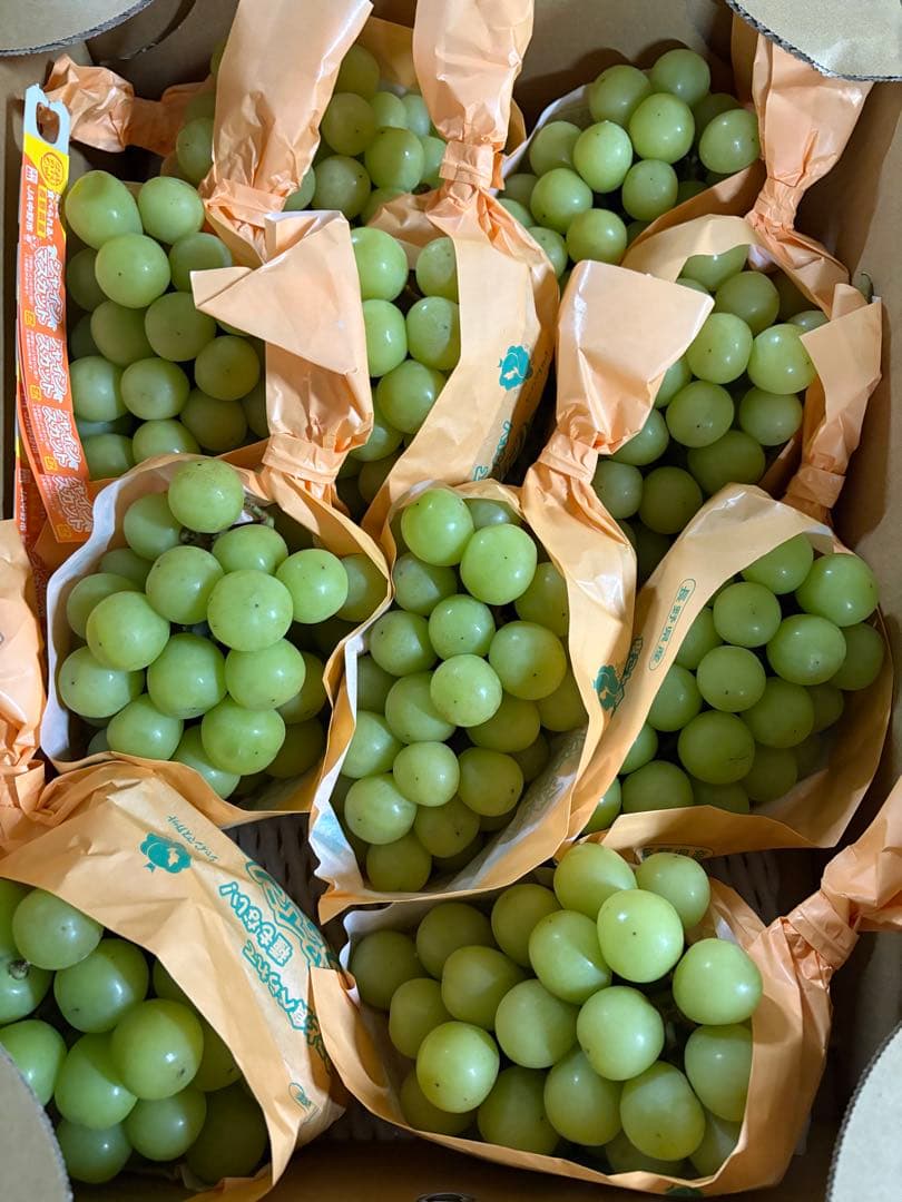 長野県産　シャインマスカット　10房セット　5kg