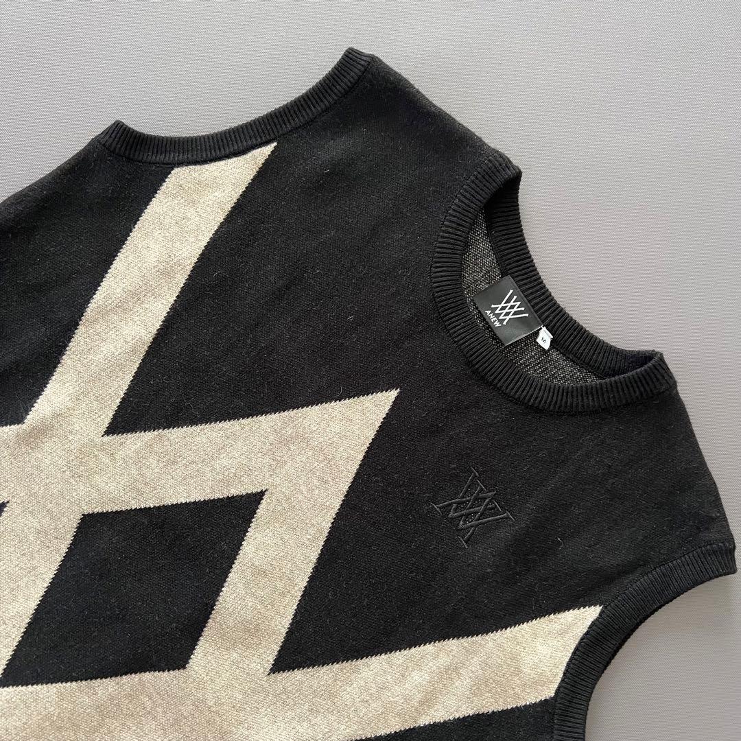 ANEW GOLF アニューゴルフ　ベスト　ニット　メンズ　セーター　M 黒