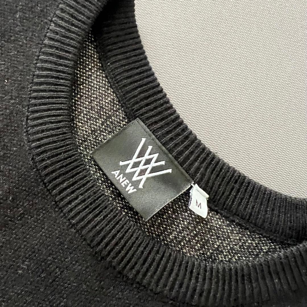 ANEW GOLF アニューゴルフ　ベスト　ニット　メンズ　セーター　M 黒