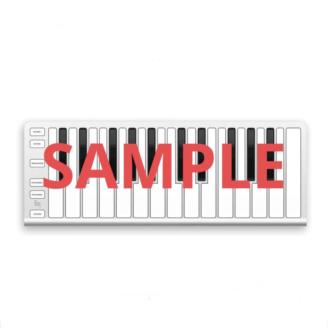 ESI(イーエスアイ) Xkey 25